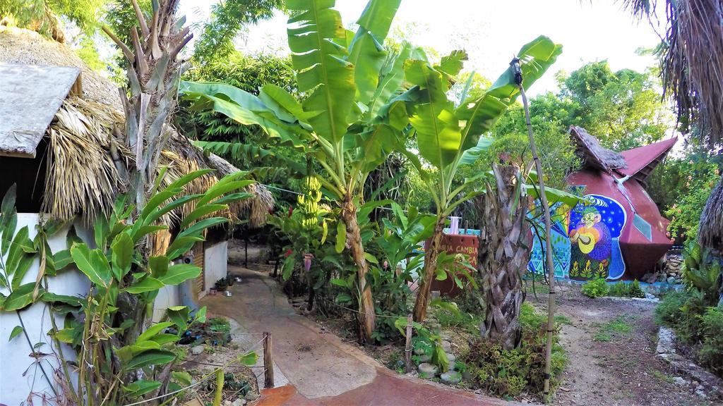 La Casa De Los Ninos Del Arbol Hotel Bacalar Eksteriør billede